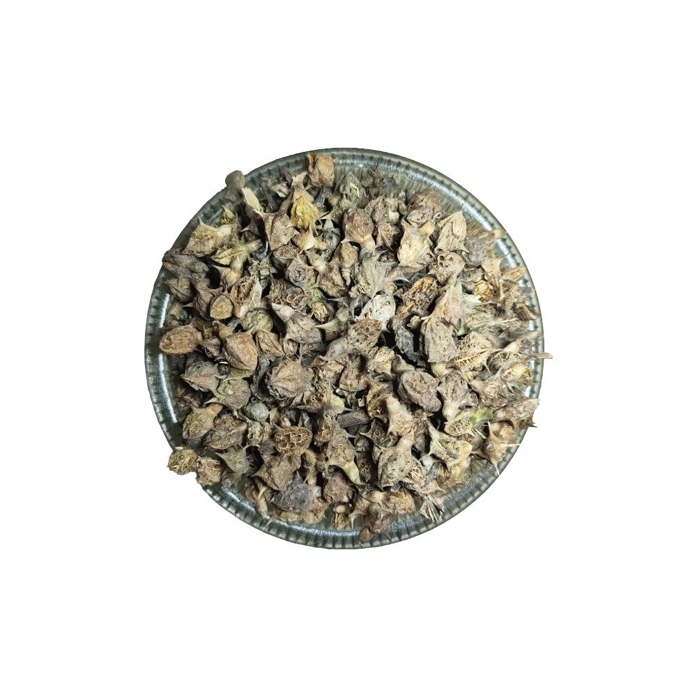 Pansariji Gokhru Seeds (Tribulus Terrestris) | Premium Quality Natural Ayurvedic Herb